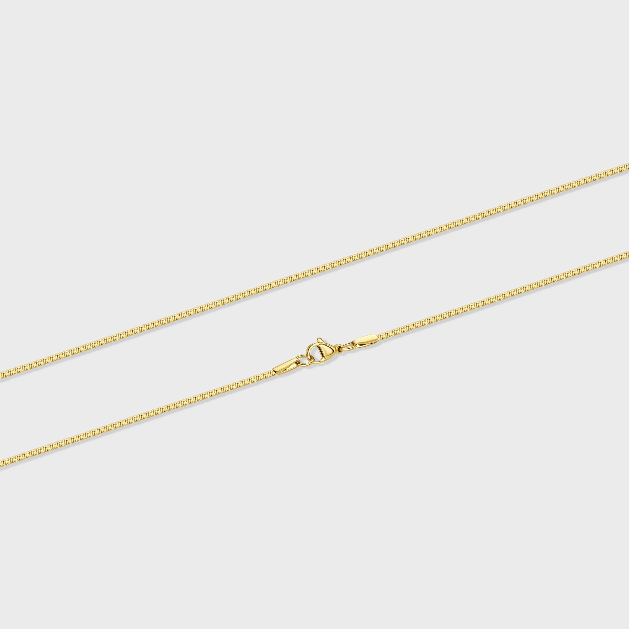 Women's Flat Snake Chain (Gold) - 2mm - Image 3